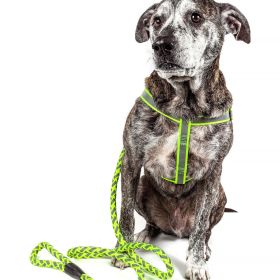 Reflective Stitched Easy Tension Adjustable 2-in-1 Dog Leash and Harness (size: small)